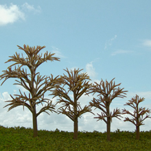 model trees